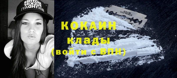 винт Дмитриев